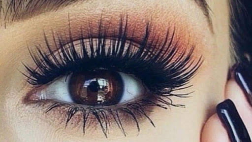 مژه ها