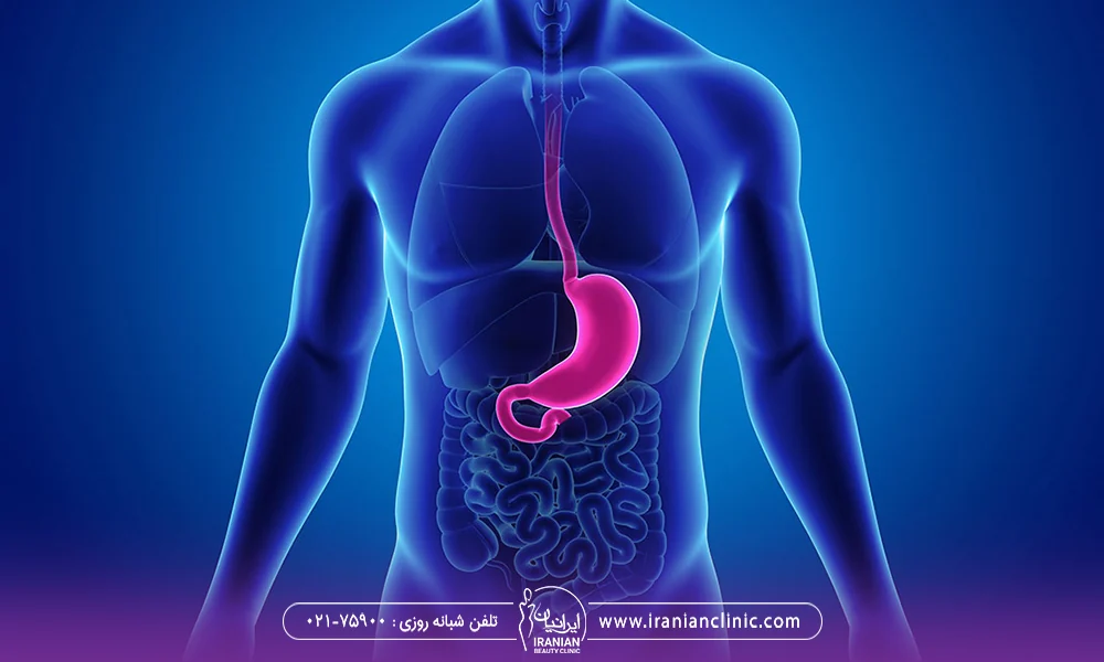 تصویر آبی رنگ از بدن یک فرد که شفاف است و معده او با رنگ صورتی مشخص شده است